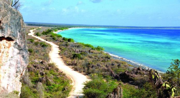 The Dominican State acquires control of Bahía de las Águilas - Dominican News