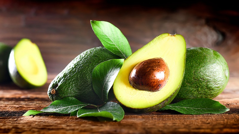 Avocado is the main export product from the DR to the USA