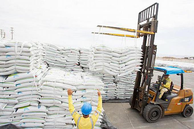 Dominican government stops flour exports